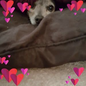 Meet your Posher, Gale